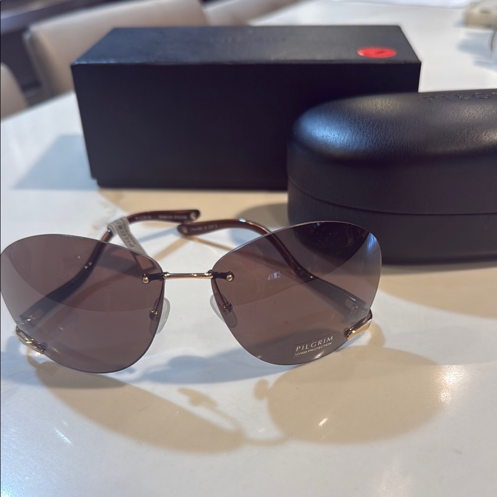 Pilgrim Gold and Brown Sunglasses